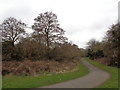 Path through Daffodil Park, Longbridge, Birmingham