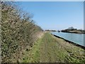 Purton, towpath