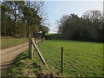 TG1337 : Road near Upwood Cottage by Hugh Venables