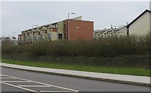 W7167 : Housing Estate near Donnybrook by Hywel Williams