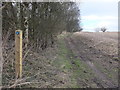 Footpath near Dam House, Standish