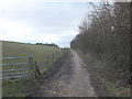 Path near Patrick Farm