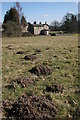 Molehills at Battleby House