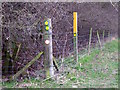 SK3620 : Footpath crossroads at The Coppice by Ian Calderwood