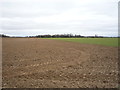 Farmland near Waterhall Farm