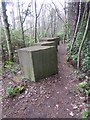 NT6380 : Anti-tank defences in Links Wood by Oliver Dixon