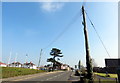 Woodpecker decoy in Aberystwyth Road