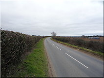 TL8164 : Heading east on National Cycle Route 51 by JThomas