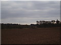 NO6064 : Field at Ballownie near Inchbare by Douglas Nelson