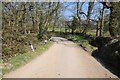 Country road near Trerice House