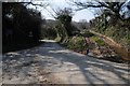 Country road and field entrance