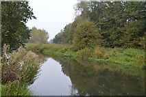 SU6369 : Kennet & Avon Canal by N Chadwick