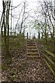 Steps to Thorley Lane