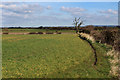 Countryside to the North of Gatenby