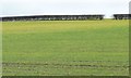 Gap in the hedge, west of Rob Royd Farm