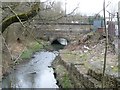 Looking upstream to Worsbrough Bridge