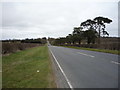 A1304 towards Newmarket