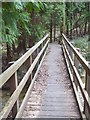 Footbridge in Hammerhill Wood