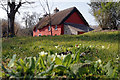 Thatched Cottage in Spring