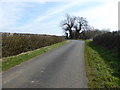SU1196 : Sharp bend, minor road between Down Ampney and Marston Meysey by Vieve Forward