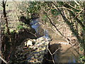 Copcut stream as it reappears from under Chawson Lane  