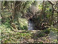 Copcut stream before it goes under Chawson Lane