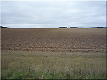 TL6058 : Field near Lower Farm by JThomas