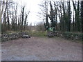 M4515 : Entrance to Castle Taylor Woodland - A native woodland restoration project by DeeEmm