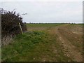 Bridleway to Winterton