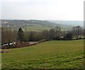 Hillside above Ashculme