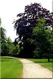 SP4315 : Path in Blenheim Palace grounds by Steve Daniels