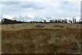 Abandoned land, near Auchentibber