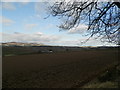 Field at Keithhall, near Muirhead