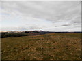 Rough grazing near Ledyatt Loch