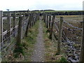 Narrow fenced footpath