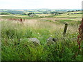 Stile on footpath at Delfs Lane, Sowerby