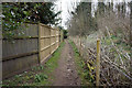 Opencast Way in Manby Wood