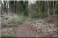 Path leading to Raventhorpe