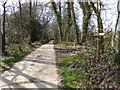 Cartersledge Lane looking west from footpath junction