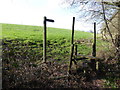 Footpath crosses stile to leave woodland