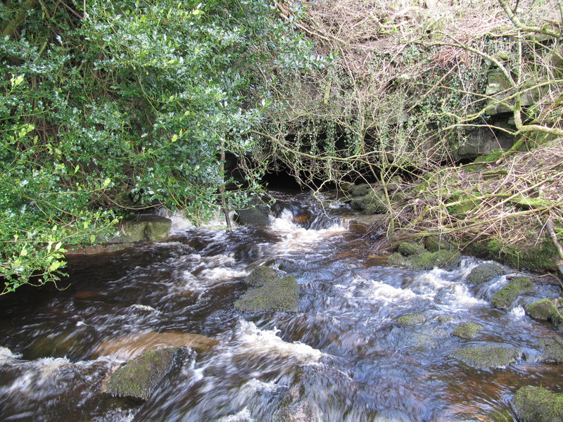 Nidd Heads, South East Rising © David Tyers cc-by-sa/2.0 :: Geograph ...