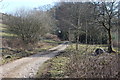 Start of track to Penmaen Farm