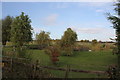 Pond behind East Lodge, Potterhanworth Road