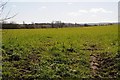 Farmland above Chipping Campden