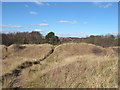 Path through dunes at Big Ball