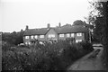 Houses and abandoned allotments