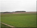 View towards Elmswell Wold Farm