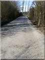 Ings Lane, approaching Newton Lane, Allerton Bywater