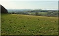 Field on Bury Down