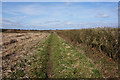 SE8805 : Opencast Way towards North Moor Lane by Ian S